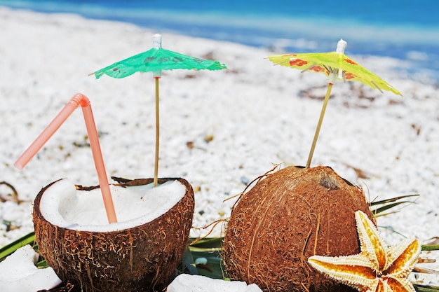 Estrela do mar de cocos e ramos de palmeira em seixos brancos