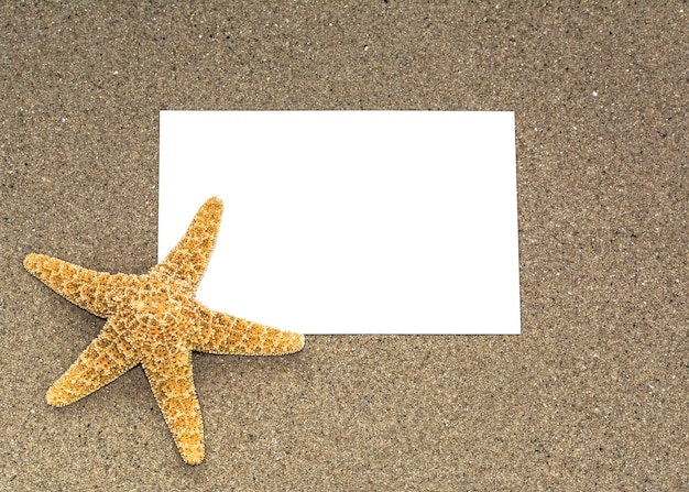 Estrela do mar em uma areia em uma praia