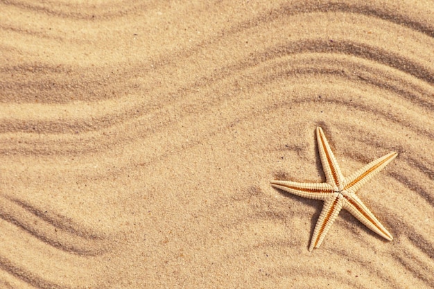 Estrela do mar na areia da praia com vista superior do padrão de onda Espaço para texto