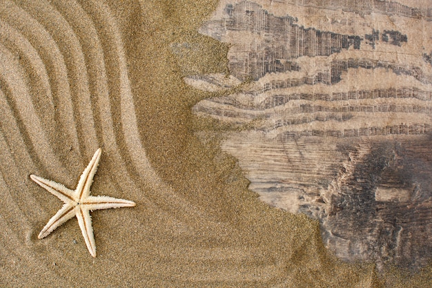 Estrela do mar na areia vista superior cópia espaço