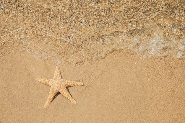 Foto estrela do mar na vista superior da praia de areia tropical espaço para texto