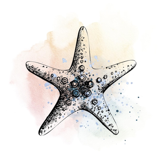 Estrela do mar no fundo de manchas de acidentes azuis e corais e salpicos Ilustração desenhada à mão em estilo gráfico Para decoração e design de estampas cartazes de logotipo cartões postais