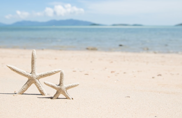 Estrela do mar parada na praia