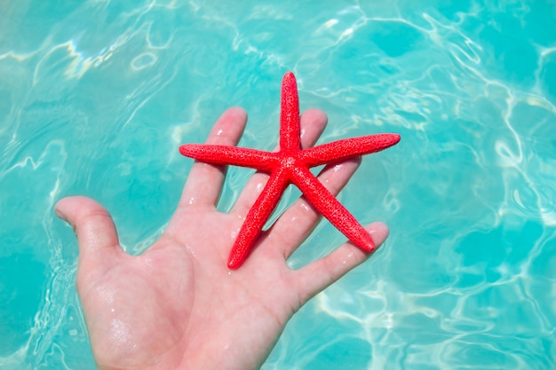 Estrela do mar vermelha na mão humana flutuante