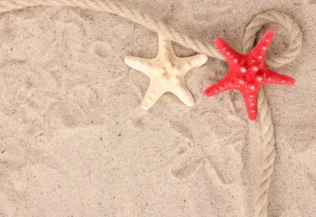 Estrelas do mar com corda na areia