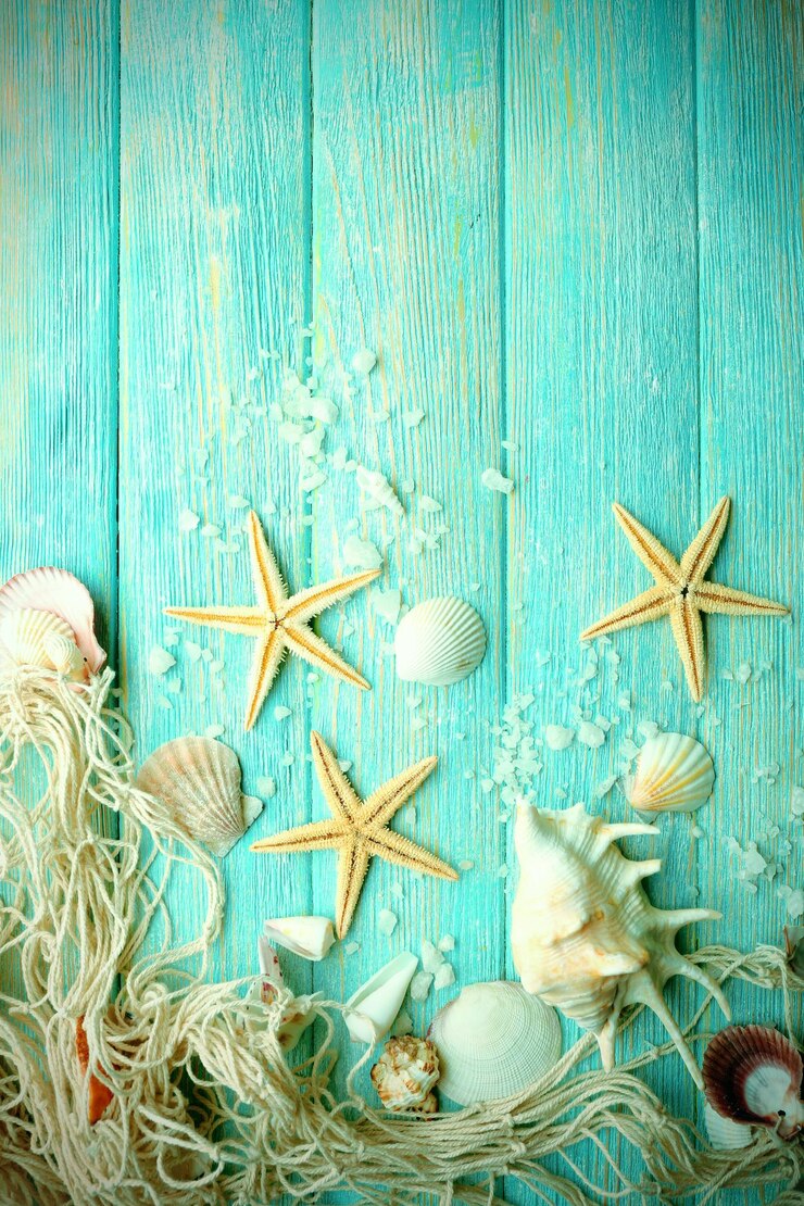 Foto estrelas-do-mar e conchas em fundo de madeira