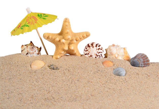 Estrelas do mar e conchas na areia da praia em um fundo branco