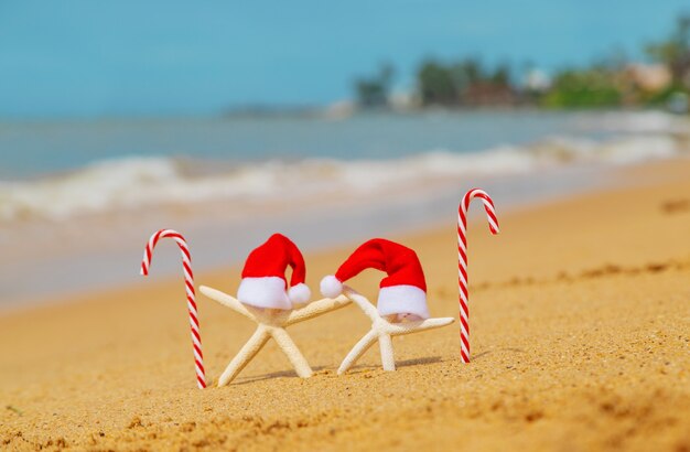 Estrelas do mar na praia com chapéus de Papai Noel e bastões de doces