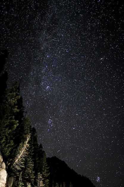 Foto estrelas e galáxia de andrômeda no monte rainier