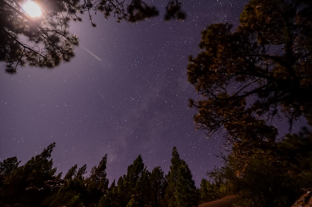 Estrelas no céu à noite