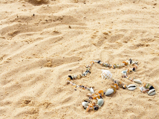 Foto estrella de conchas de gallo y guijarros de mar dispuestos en la arena