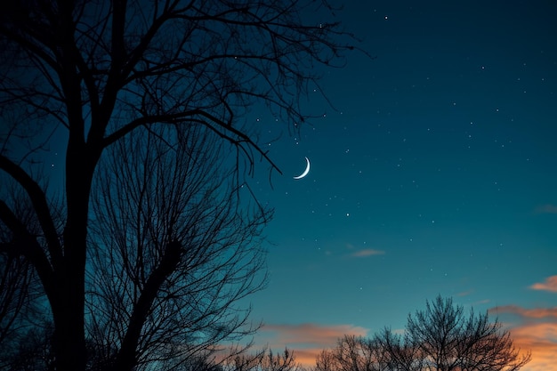 una estrella y una luna en un cielo nocturno despejado