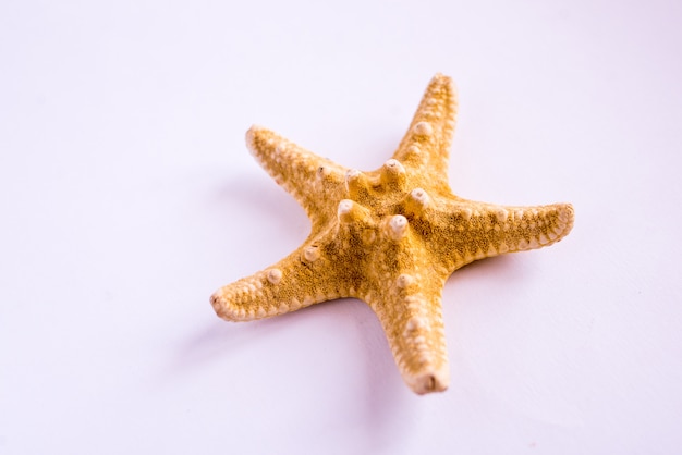 estrella de mar amarilla aislada