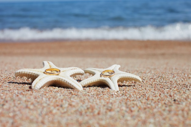 Estrella de mar con anillos de boda en la playa