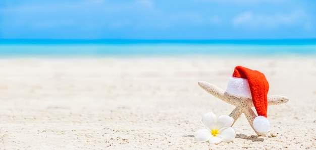 Estrella de mar blanca con gorro de Papá Noel en una playa de arena