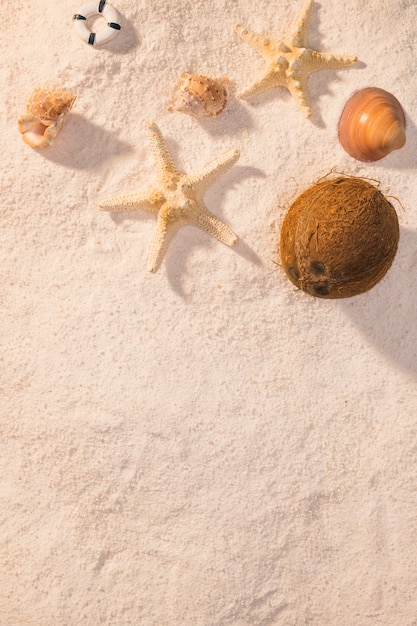 Estrella de mar, conchas y coco en la playa.