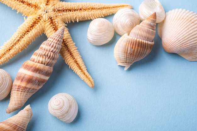 Foto estrella de mar y conchas marinas en superficie azul