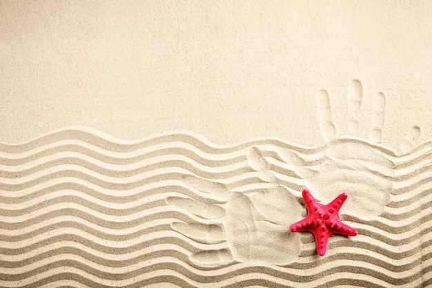 Estrella de mar y conchas en la playa.