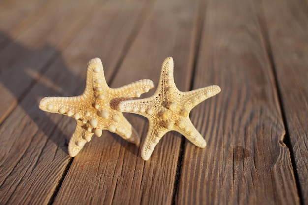 Estrella de mar en un muelle de madera vertida sobre una plataforma de madera.