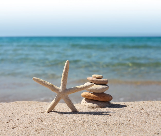 Estrella de mar y piedra en el mar