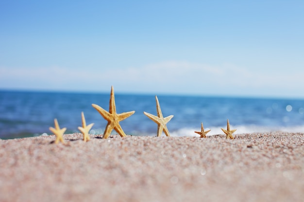 Estrella de mar en la playa. Playa de arena con olas. Concepto de vacaciones de verano. Vacaciones junto al mar.