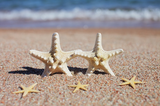 Estrella de mar en la playa. Playa de arena con olas.