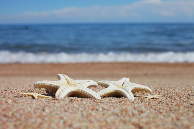 Estrella de mar en la playa. Playa de arena con olas.