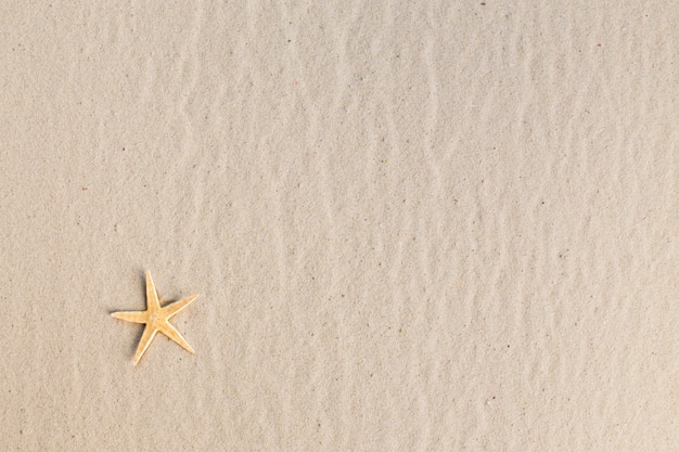 Estrella de mar en la playa