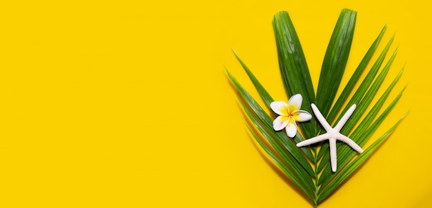 Estrella de mar con plumeria o flor de frangipani en hojas de palmeras tropicales sobre fondo amarillo. disfrute del concepto de vacaciones de verano. copia espacio