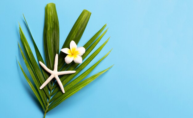 Estrella de mar con plumeria o flor de frangipani en hojas de palmeras tropicales sobre fondo azul. Disfrute del concepto de vacaciones de verano.