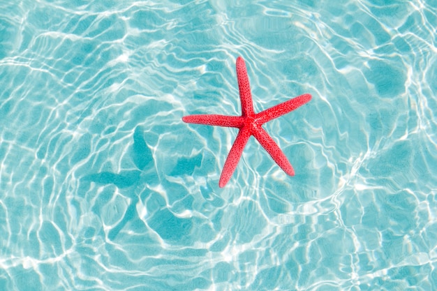 Estrella de mar roja flotante en la playa de arena turquesa