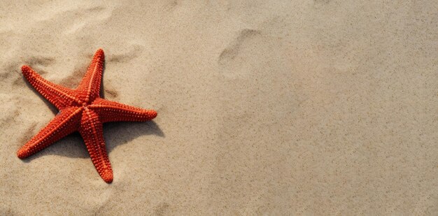 Foto estrella de mar roja sobre fondo de playa de arena