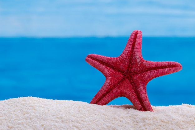 Estrella de mar rojo sobre arena blanca