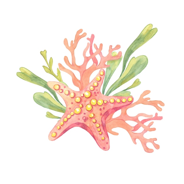 Una estrella de mar rosada con algas verdes y ramas de coral pintadas en acuarela Vida submarina Este clipart es perfecto para invitaciones con temas marinos