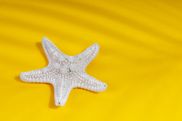 Estrella de mar con sombras de una palmera sobre un fondo amarillo. Concepto de turismo.