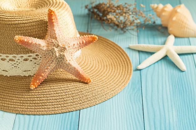 Estrella de mar en un sombrero sobre un fondo azul.