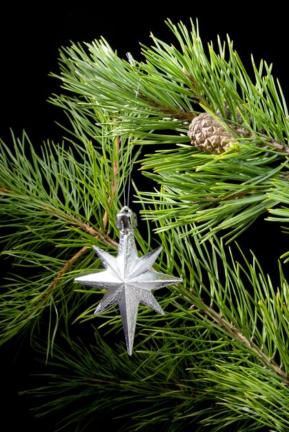 Estrella de navidad en el marco de las ramas del pino