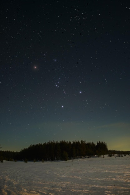 Estrellas brillantes Constelación de Orión en el cielo nocturno