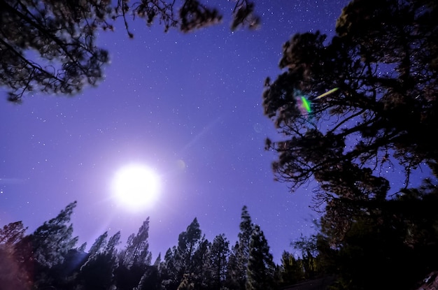 Estrellas en el cielo por la noche