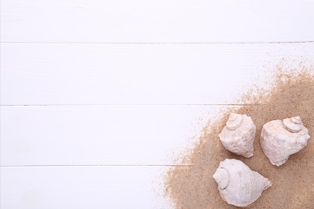 Estrellas de mar y conchas marinas con arena en blanco de madera. Concepto de verano