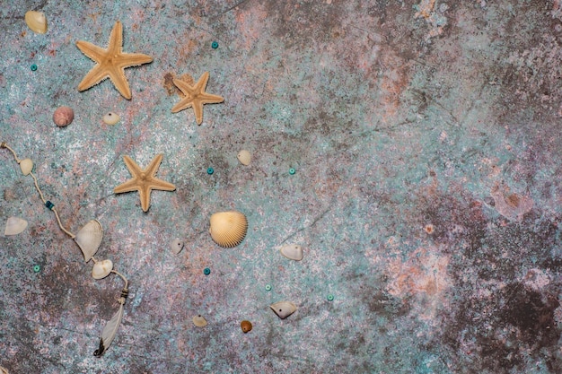 Estrellas de mar y conchas marinas con cuentas sobre fondo de colores