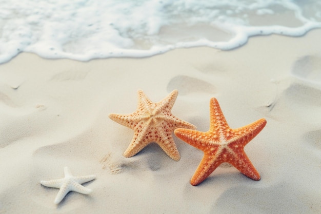 estrellas de mar en la playa