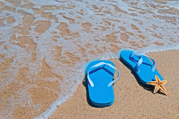 Estrellas de mar y sandalias en una orilla dorada