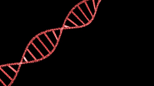 Estructura de ADN humano de hélice de color coral sobre fondo negro Molécula de ácido desoxirribonucleico de ADN Estructura de la molécula de ADN Hebra de ADN