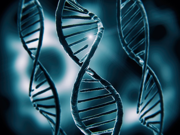estructura del ADN