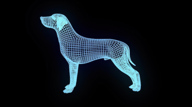 Estructura alámbrica de perro