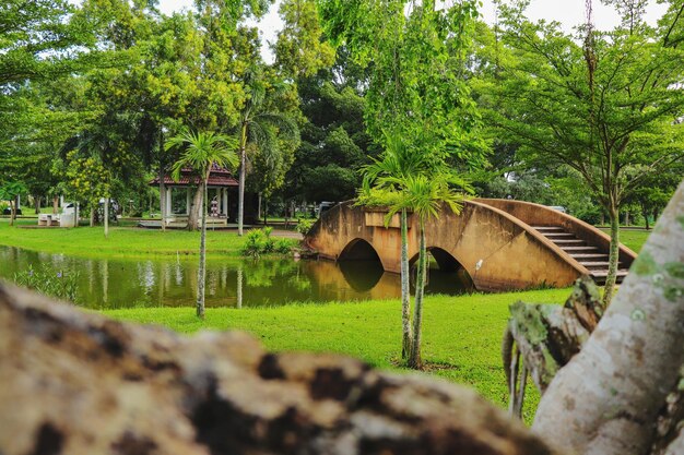 Foto estructura construida en el campo contra árboles y casas