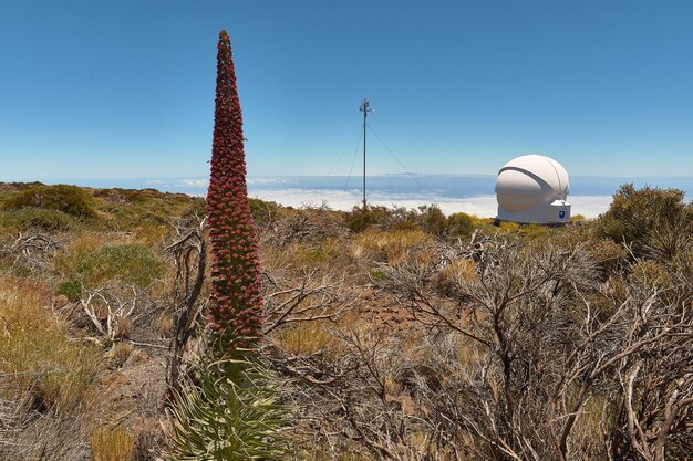 Estructura construida en el campo contra un cielo despejado