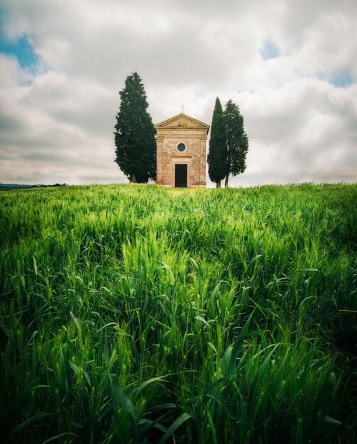 Foto estructura construida en el campo contra el cielo