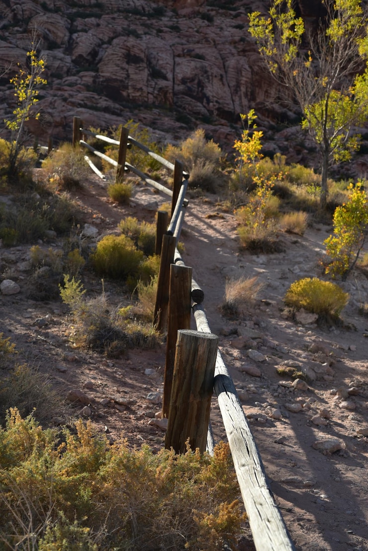 Foto estructura construida en el paisaje contra los árboles